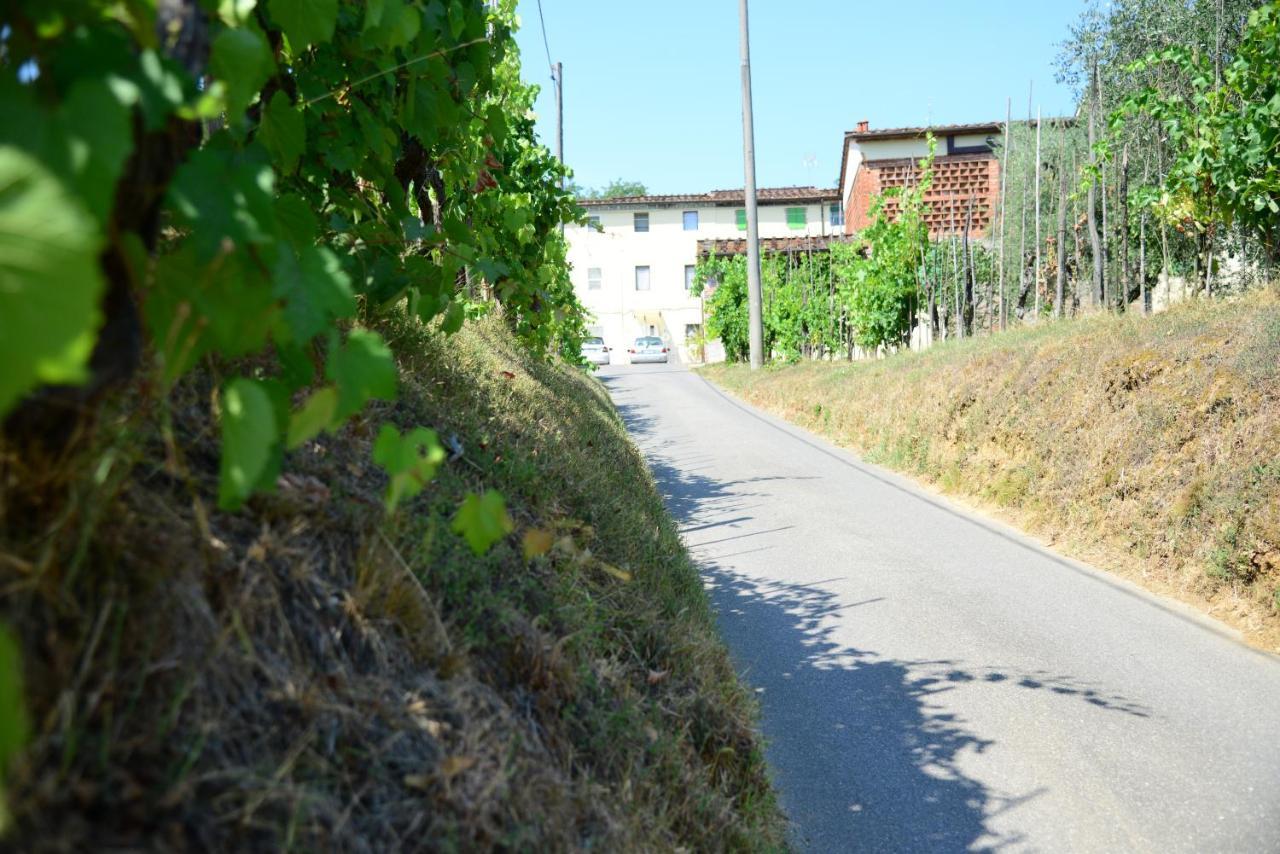 Agriturismo Corte Stefani Capannori Eksteriør bilde