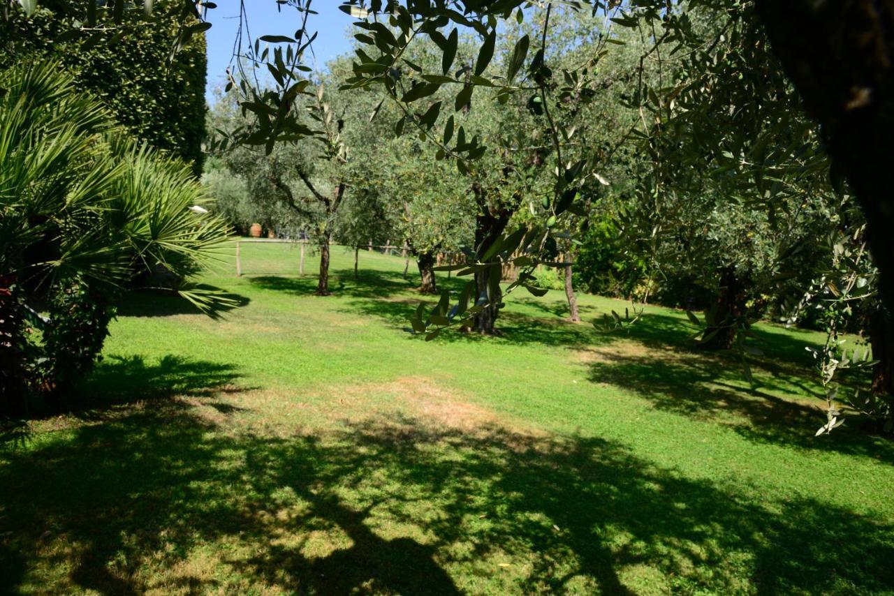 Agriturismo Corte Stefani Capannori Eksteriør bilde